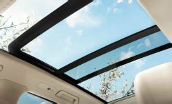 vw sunroof leak warranty|Warranty Information